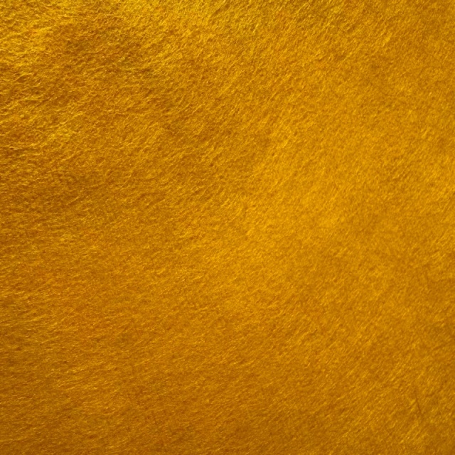 Polyimide Spunlace Nonwoven Fabric